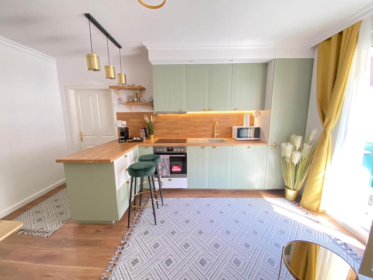 Royal Delux-free Garage,balcon,near Schoenbrunn Apartment